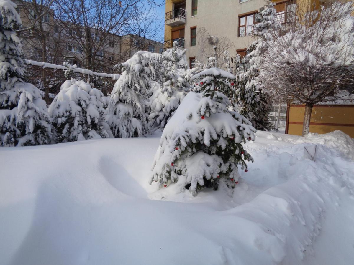 Casa Edwin Panzió Konstanca Kültér fotó