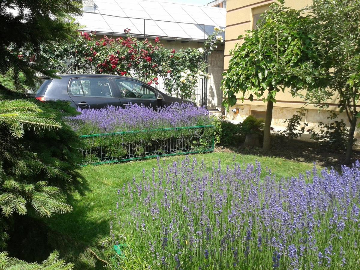 Casa Edwin Panzió Konstanca Kültér fotó